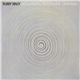 Terry Riley - Descending Moonshine Dervishes